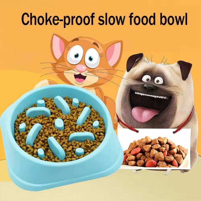 Dog Cats Food Water Slow Eating bowl