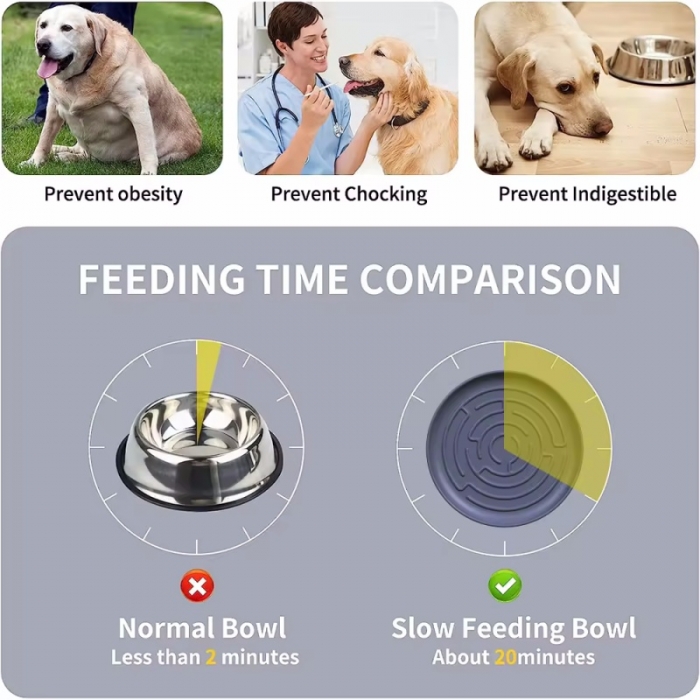 Non Slip Silicone Pet Slow Feeder Dog Bowl With Suction