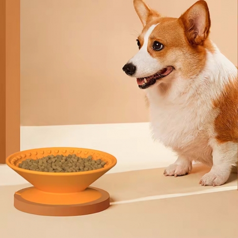 dog food bowl with no-spill non skid silicone mat