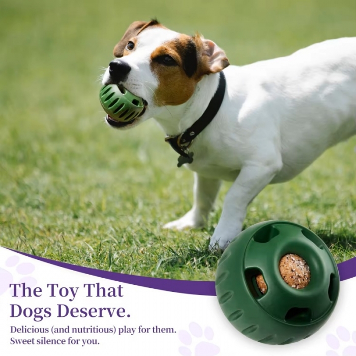 Silicone mold pet food treat ball for dog