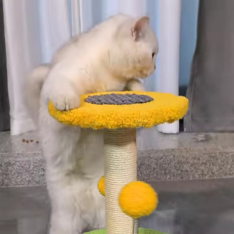 Cat Scratching Post Climbing Rack