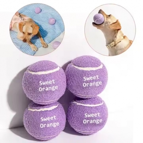 Chew Rubber Exercise Training Interactive Pet Ball Throwing Small Tennis Dog Ball Toy