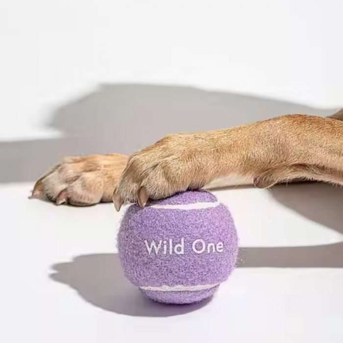 Chew Rubber Exercise Training Interactive Pet Ball Throwing Small Tennis Dog Ball Toy