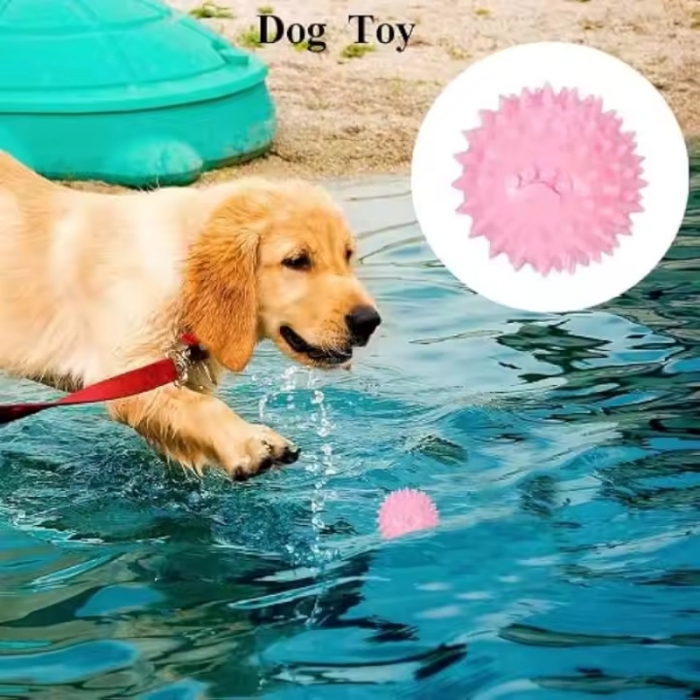 Training Ball Non-toxic TPR Dog Chew Toy Tooth Cleaning Dog Toy