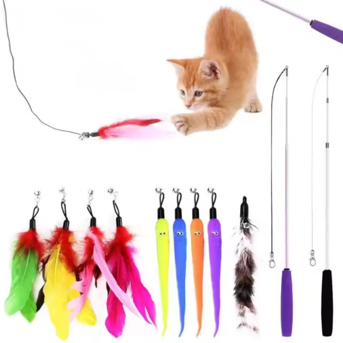Retractable Cat Wand Toy And Interactive Cat Feather Toy Set