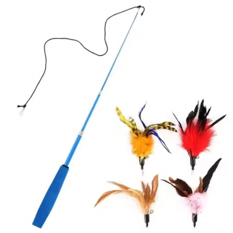Retractable Cat Wand Toy And Interactive Cat Feather Toy Set