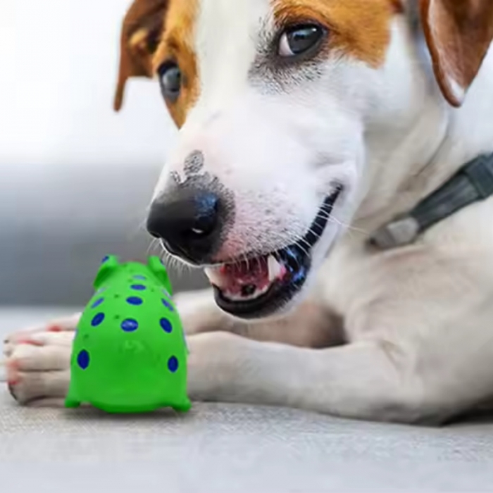 Pig Shapes Ultra-Durable Innovational Latex Chewing Dog Toys