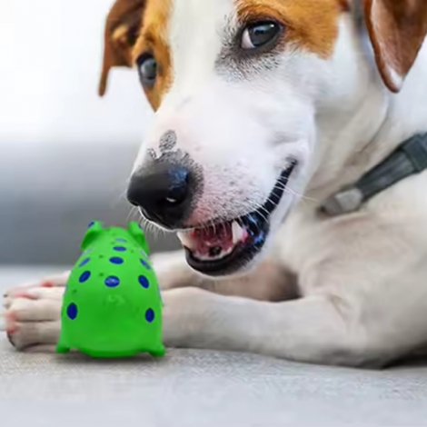 Pig Shapes Ultra-Durable Innovational Latex Chewing Dog Toys