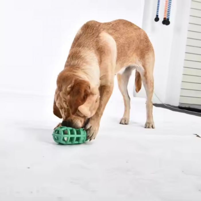 Pet Leakage Treat Toy