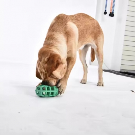 Pet Leakage Treat Toy